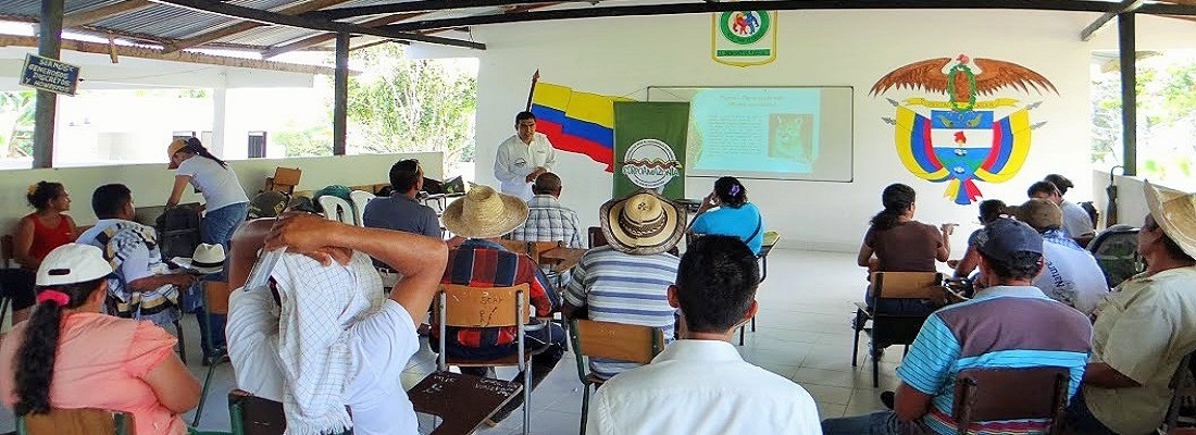 taller felinos dtc