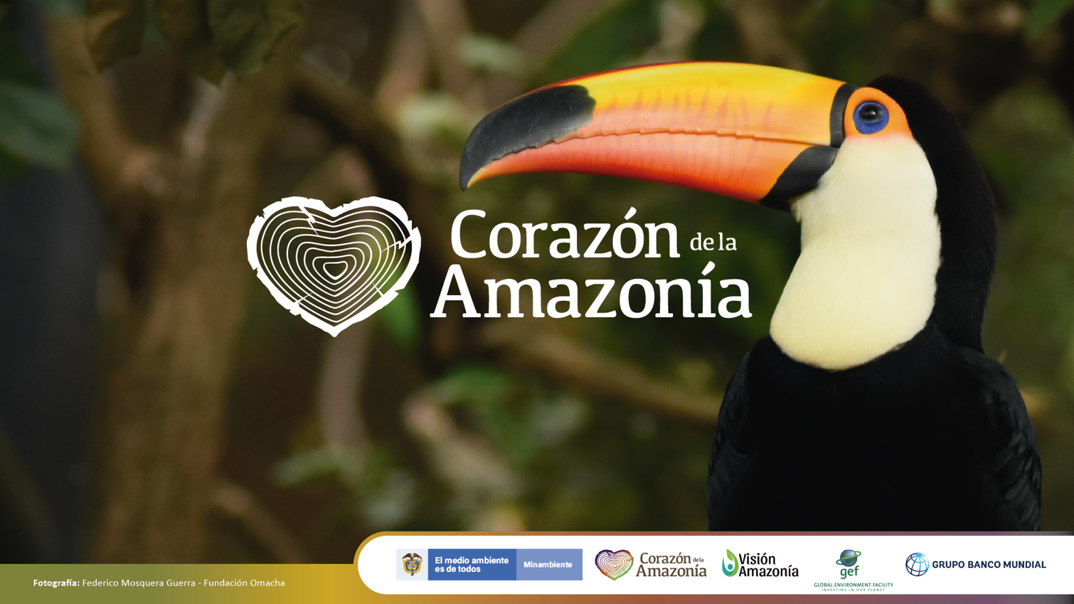 corazon-amazonia