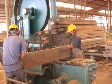 Personas que trabajan transformando madera tendrán certificación laboral