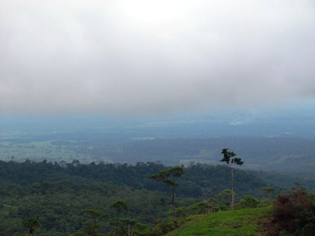 Intervención Antrópicas en áreas de Reserva Forestal Amazónica