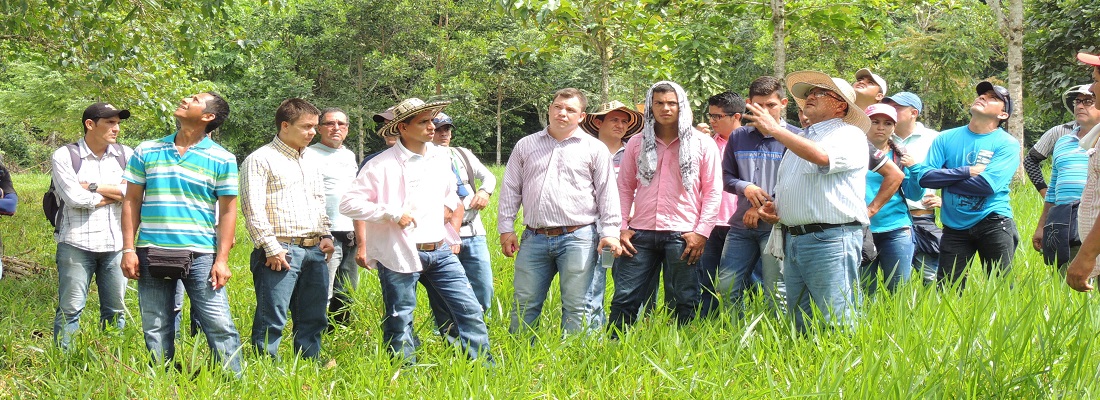 gira bosques 30 ene