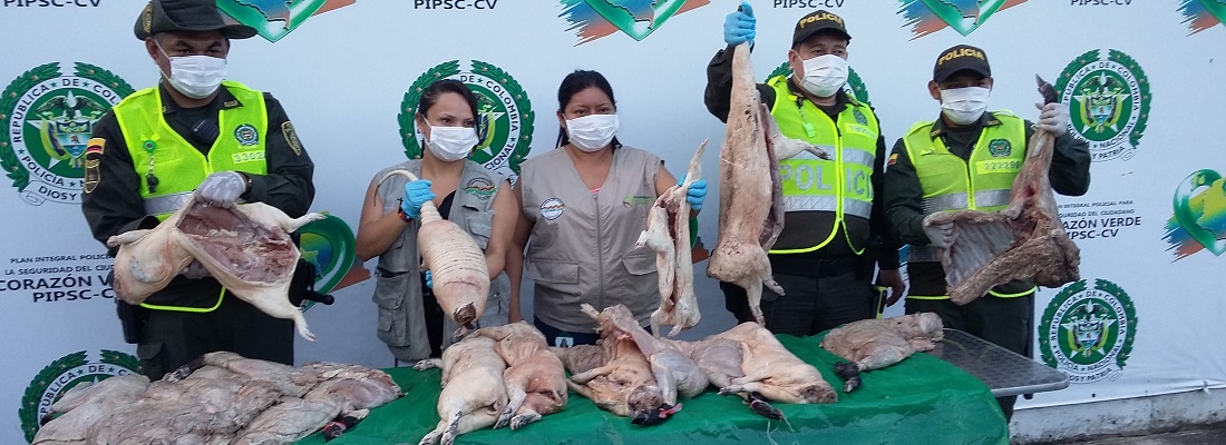 hallazgo carne monte leticia