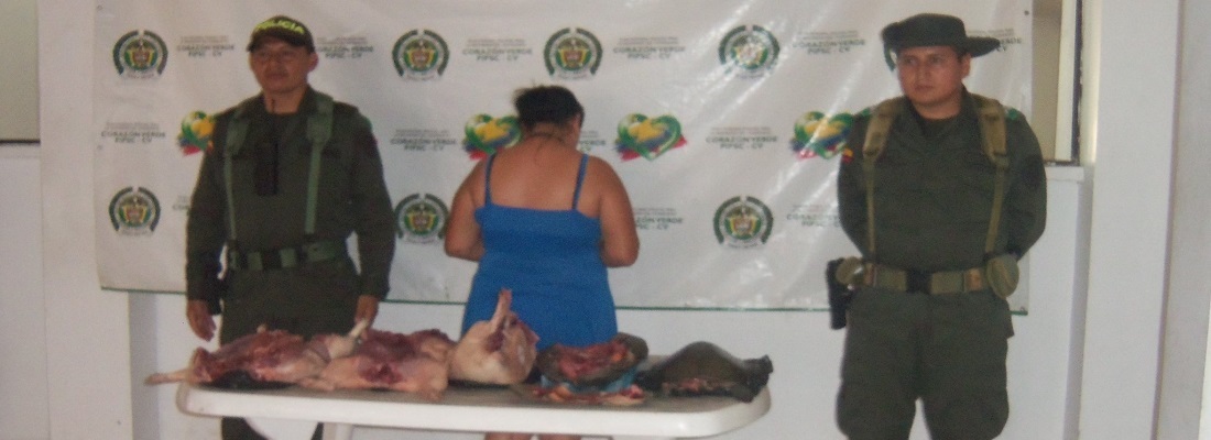 incauta carne puerto asis feb 24