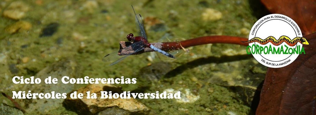miercoles biodiversidad