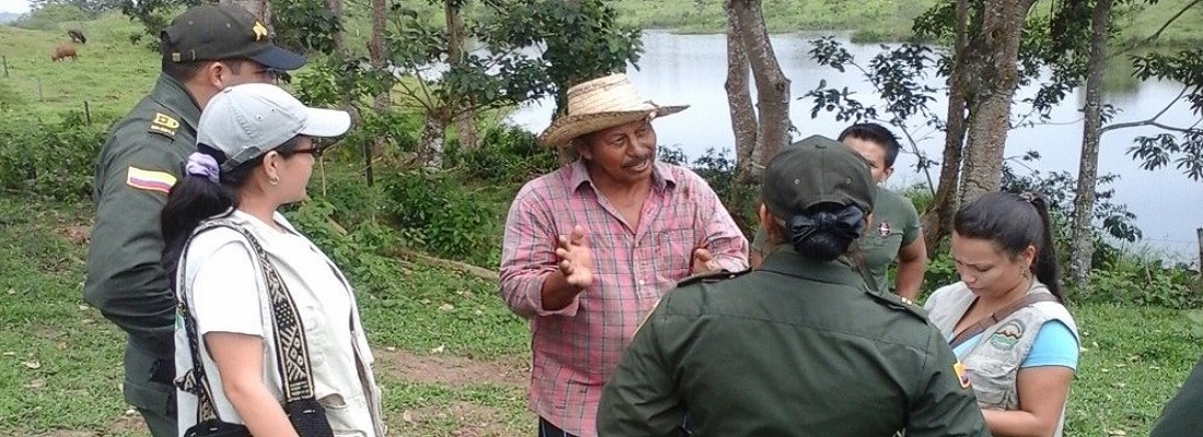 operativo delfin leticia