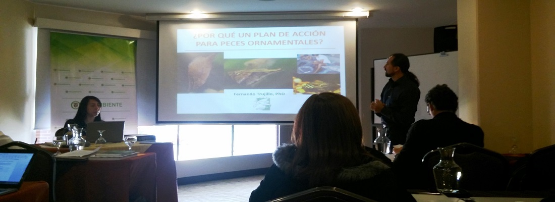 taller peces ornamentales oct 28