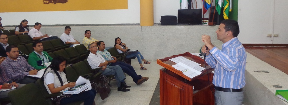 taller plan forestal