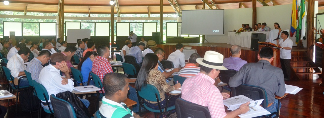 asamblea 31