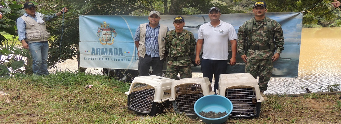 libera animals dtc