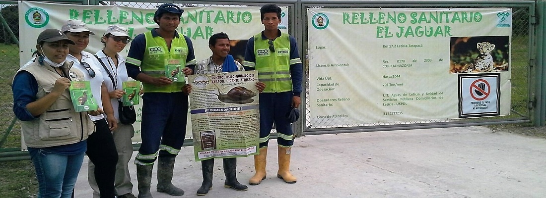 relleno jaguar leticia 1