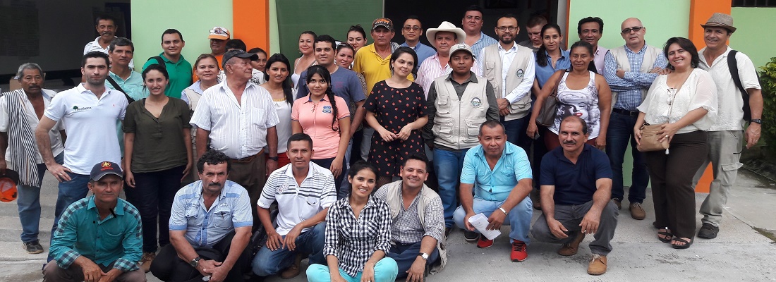 taller monitoreo deforesta