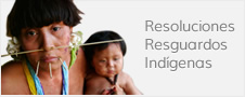 resoluciones resguardos indigenas