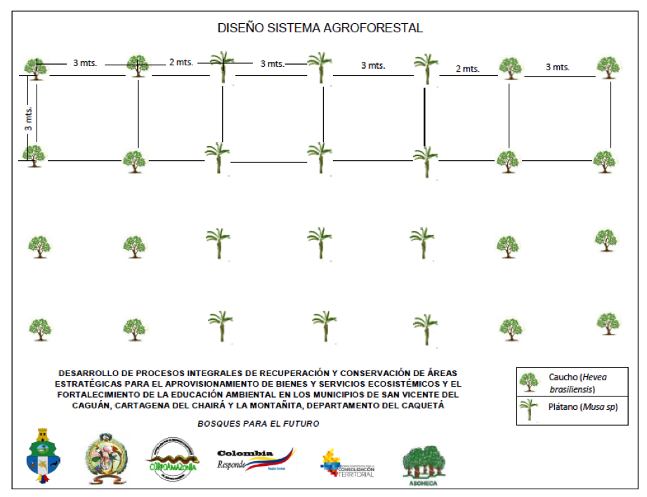 sistema-agroforestales