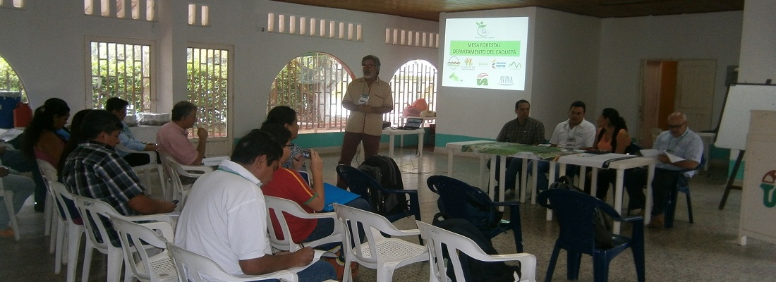encuentro forestal caqueta dic 4