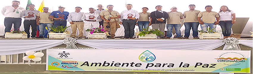 ambiente 1