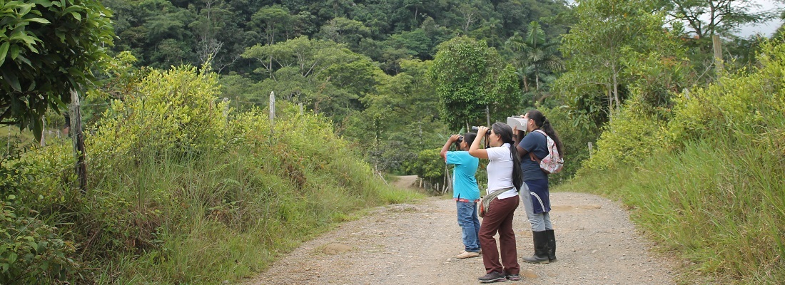 conteo aves Vereda Los Andes