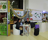 negocios-verdes-2