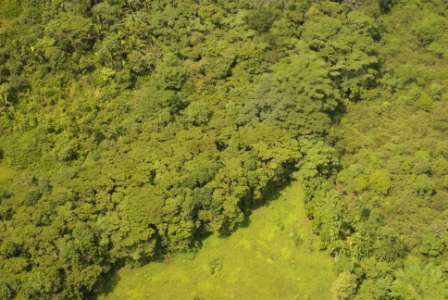 Proyecto Amazonia Viva